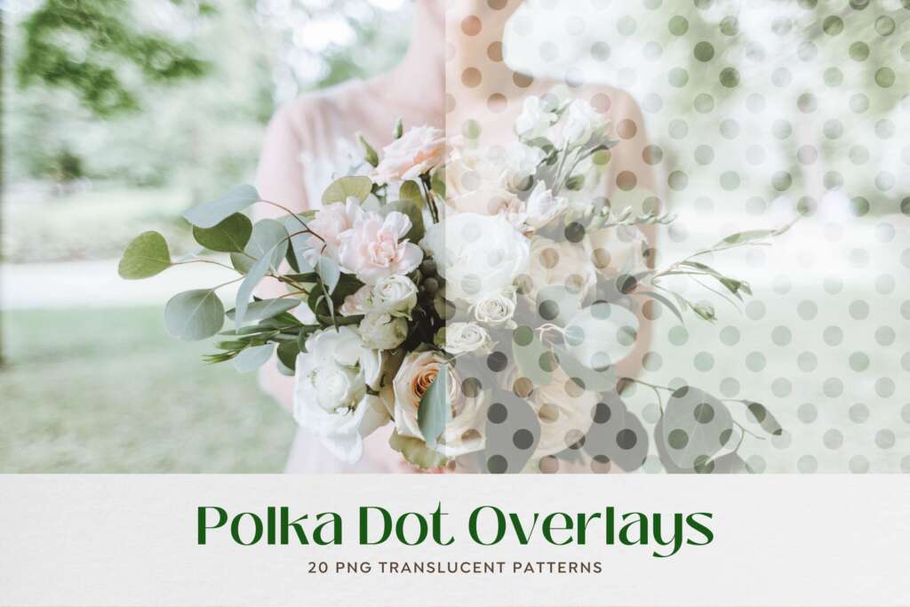 Polka Dot Translucent Photo Overlays