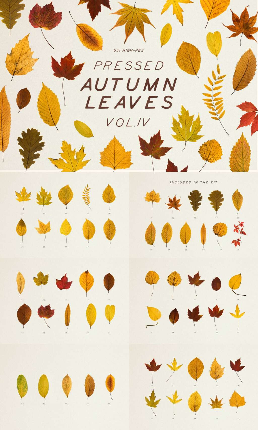Pressed Autumn Leaves Vol. 4
