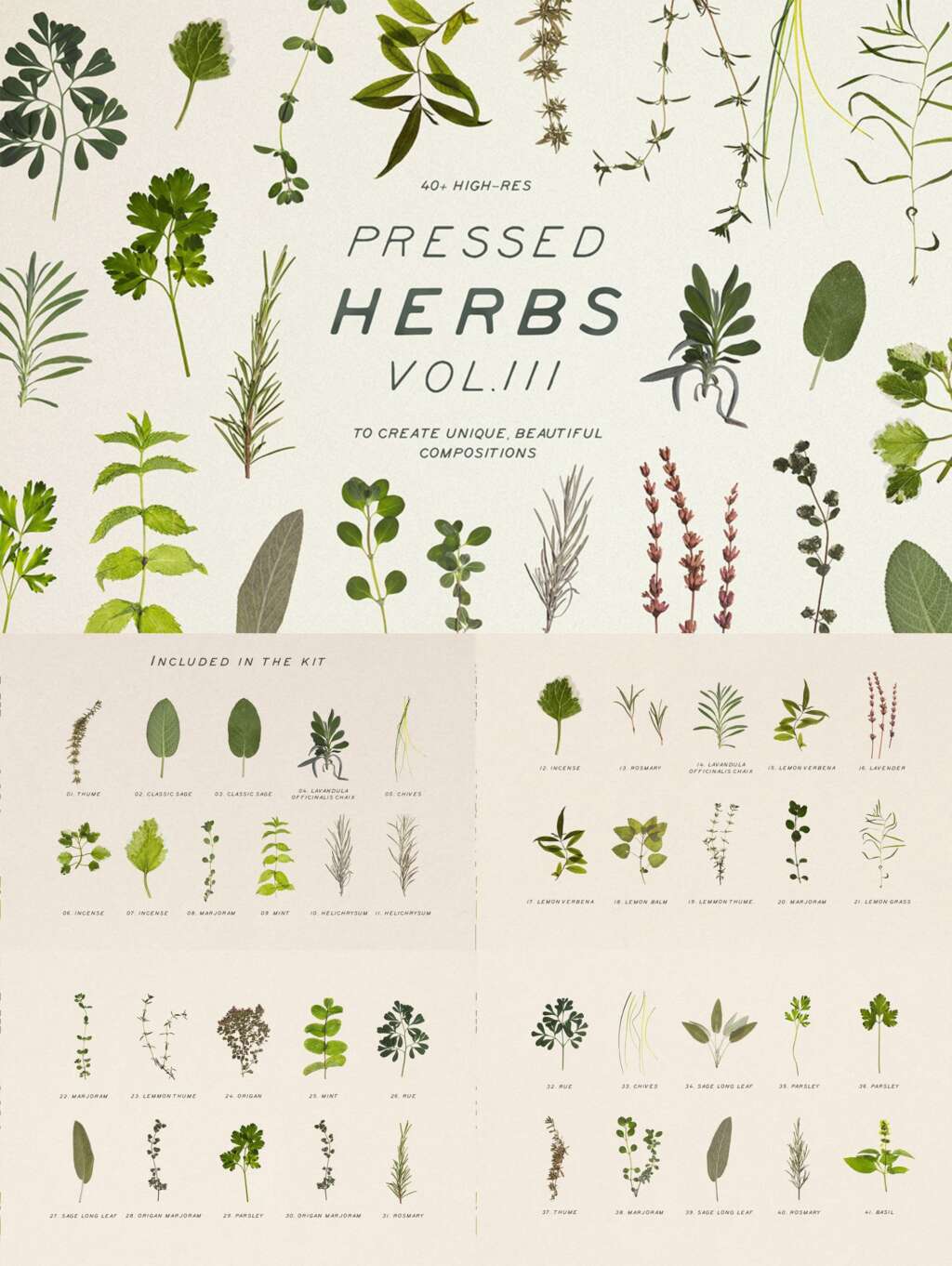 Pressed Dry Herbs Vol.3