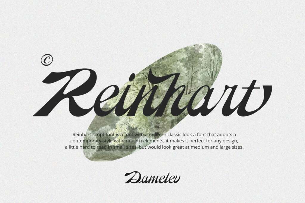 Reinhart Script
