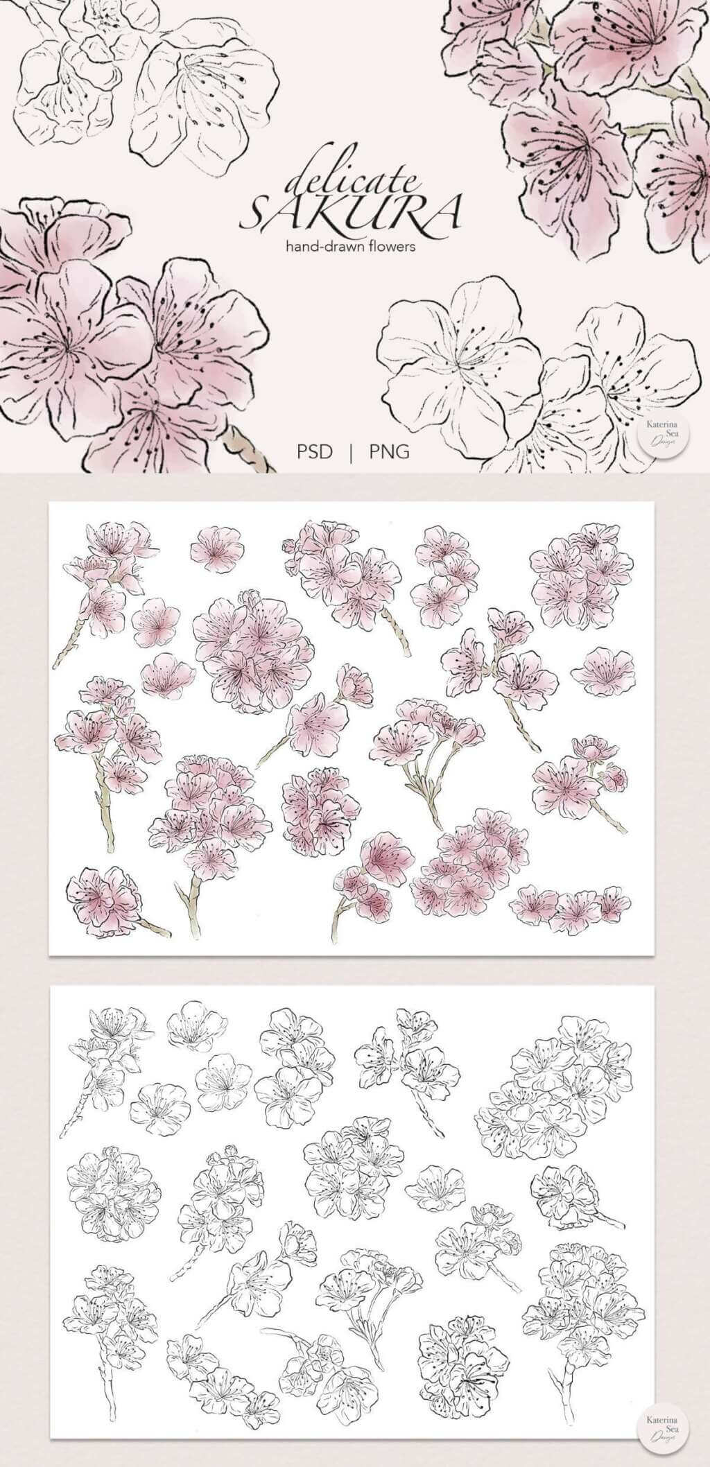 Sakura Flowers Ink & Watercolor Clip Art
