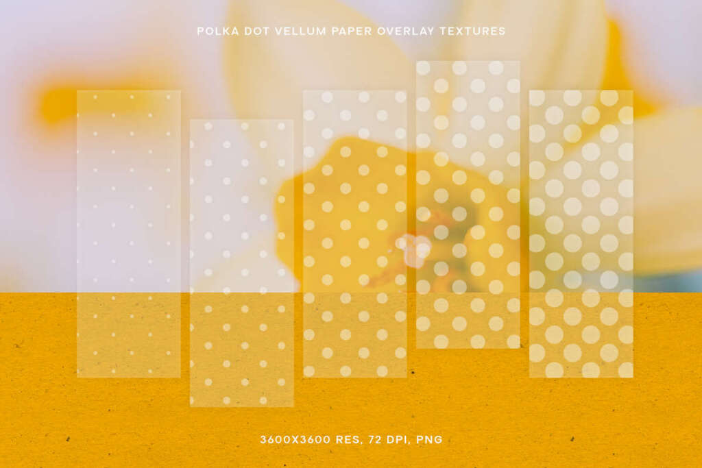Tracing Paper Polka Dot Overlay Texture