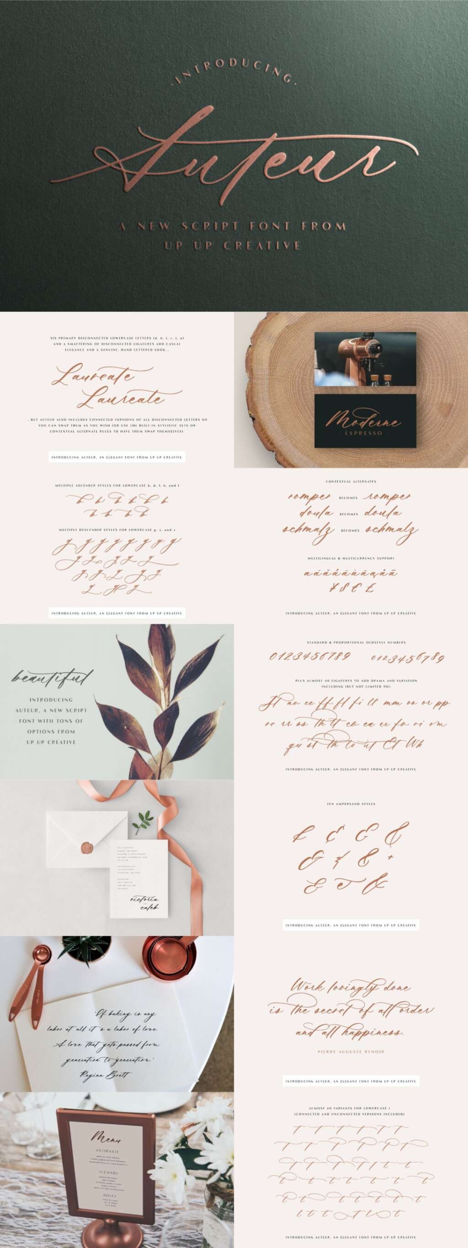 Auteur – Script Font