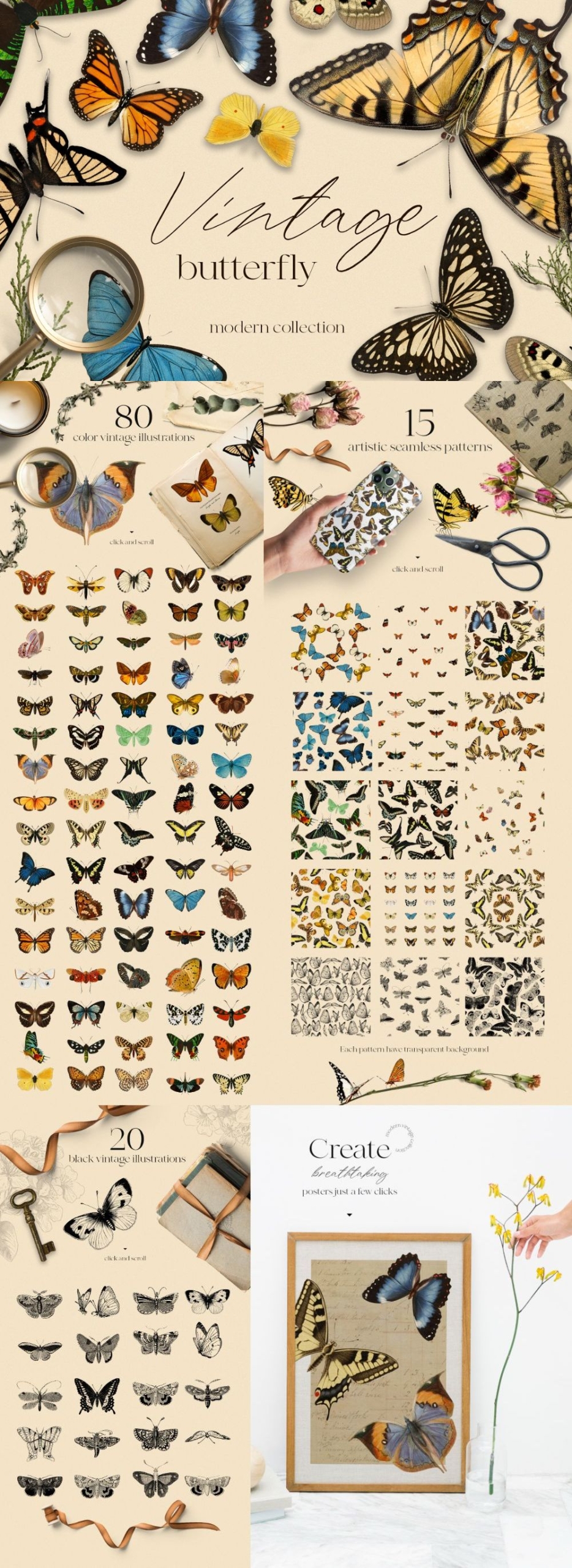 Vintage Butterfly Modern Collection
