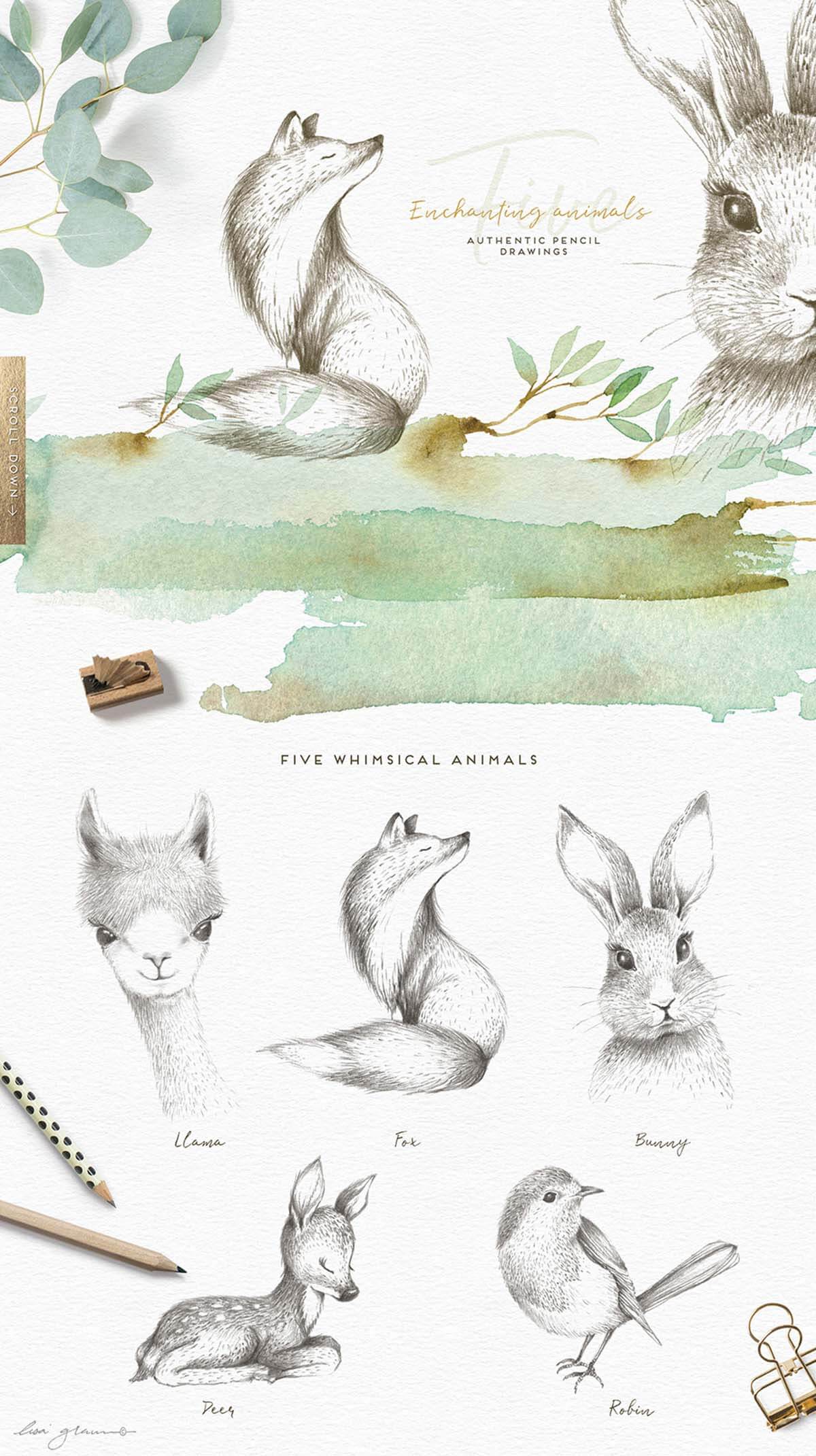 ENCHANTED ENCOUNTER WATERCOLOUR SET
