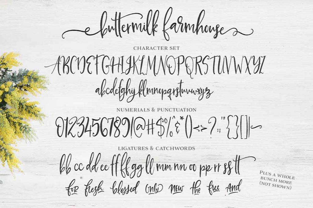 BUTTERMILK FARMHOUSE SCRIPT