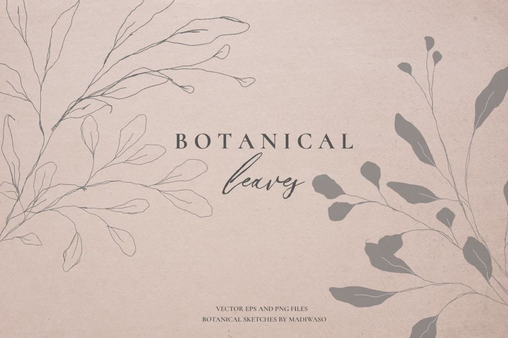 Botanical leaves - sketched florals