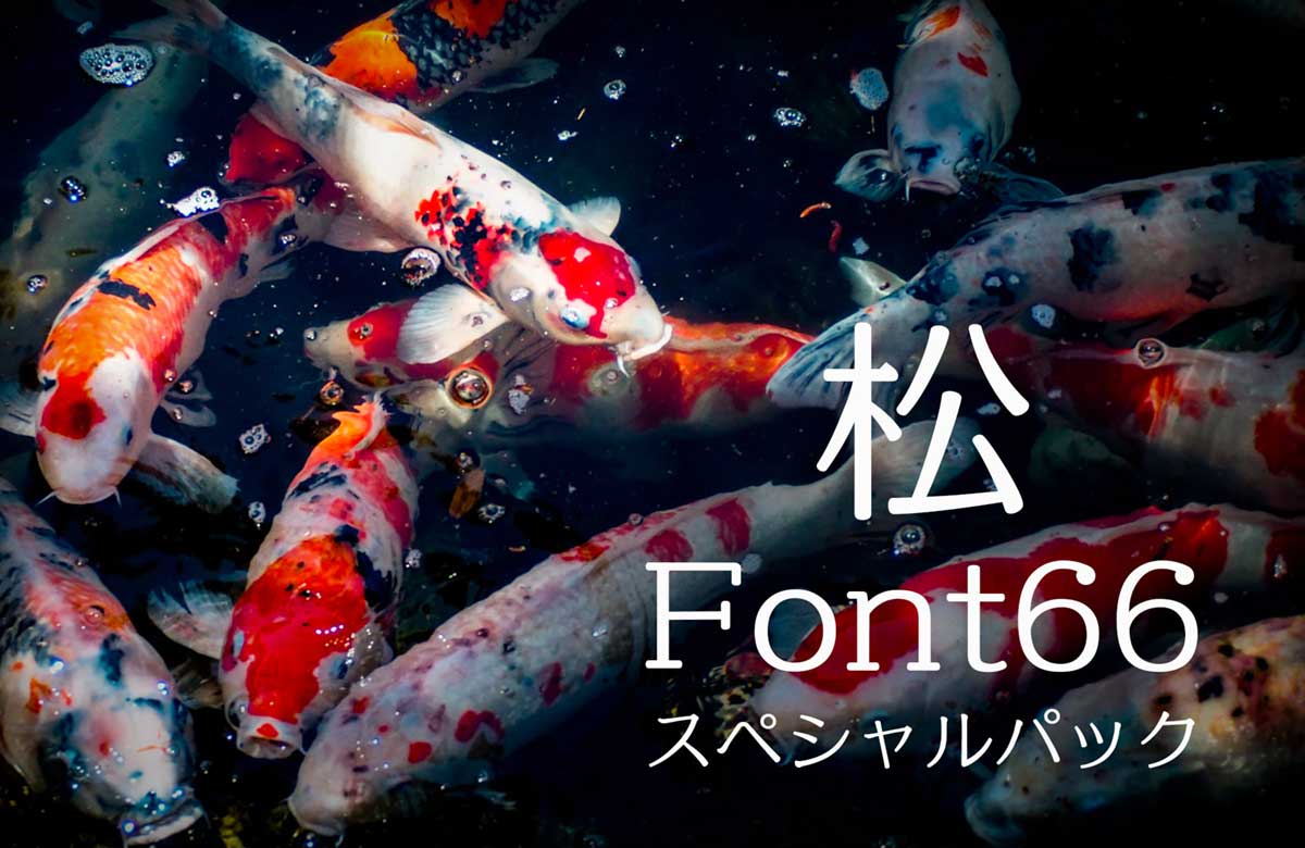 新春福袋・初売りセール:Font66スペシャルパック「松」
