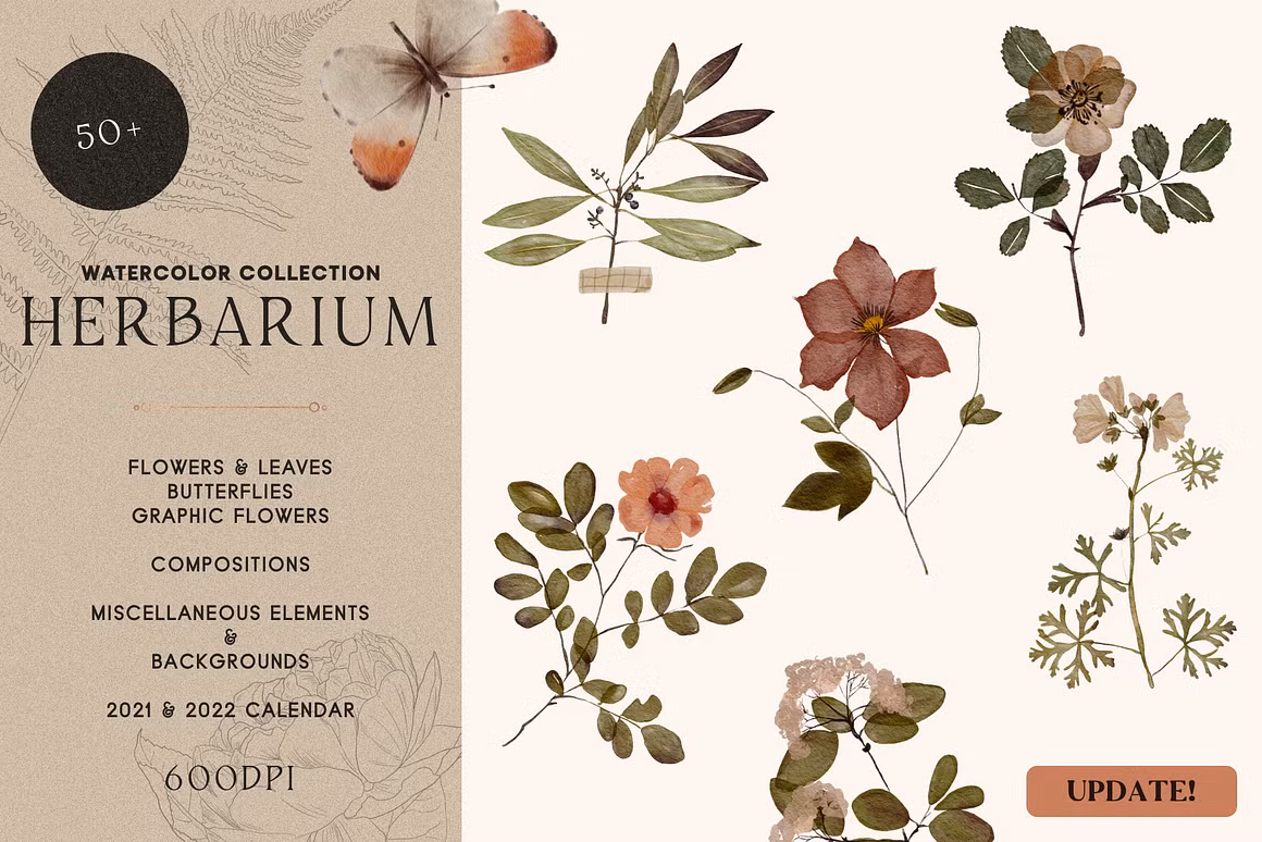 Herbarium: Pressed Dry Flowers vol.1