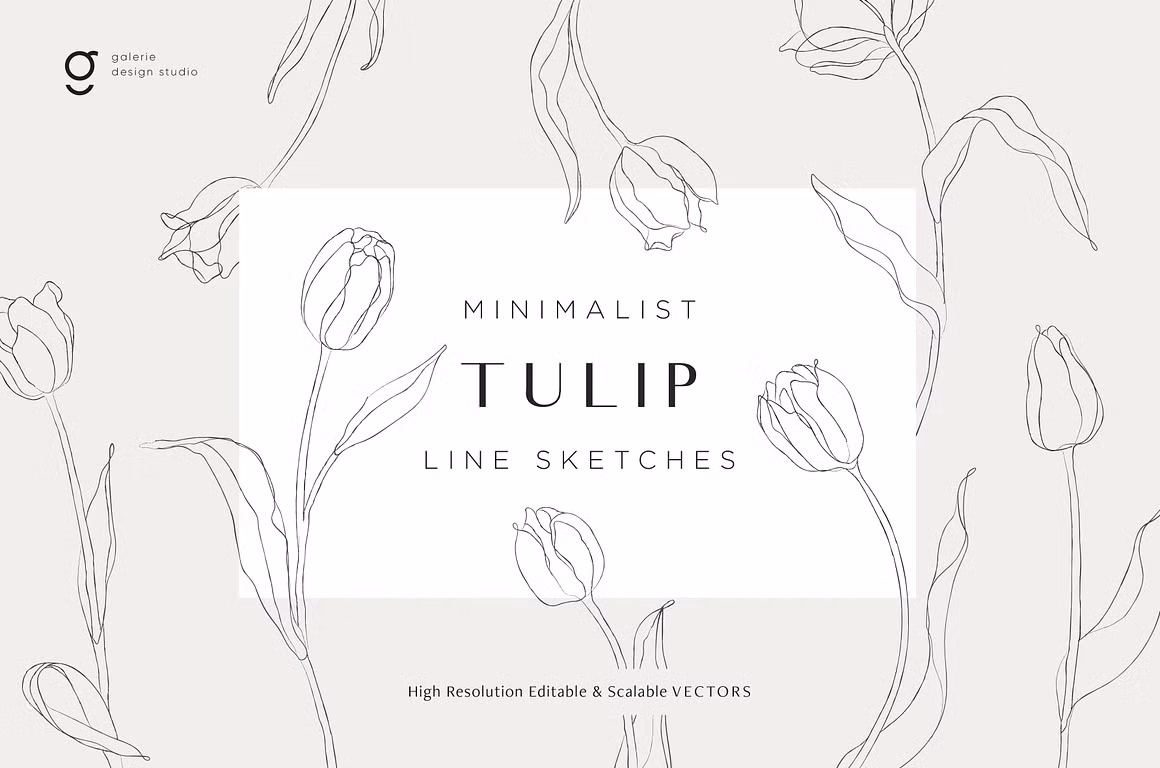 Minimalist Tulip Line Sketches