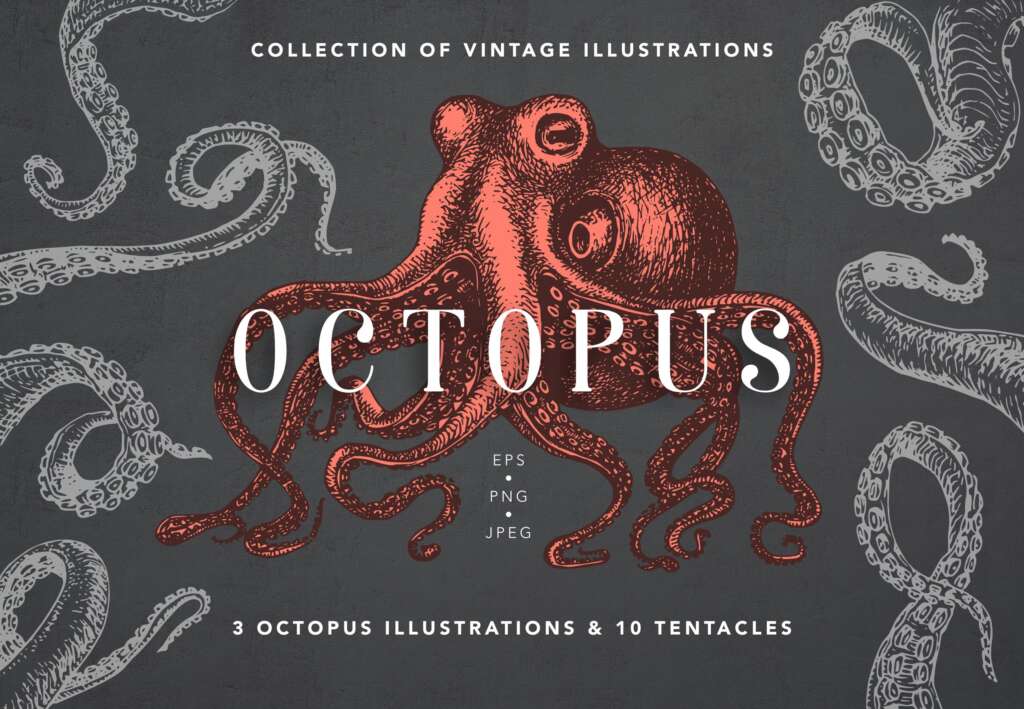 Octopus Vintage Collection
