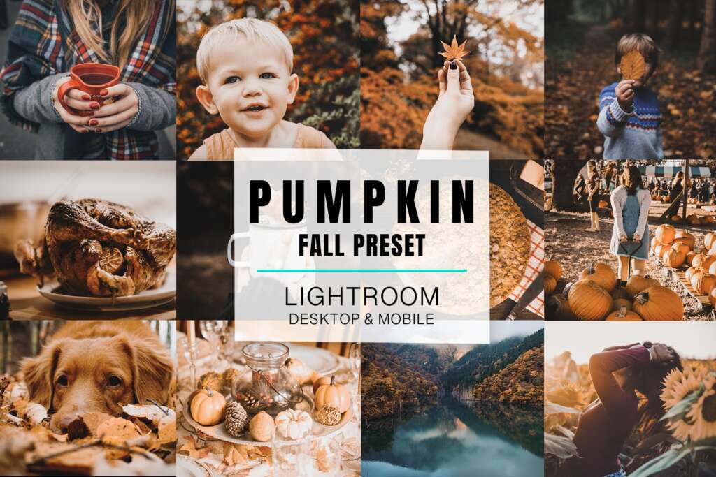 Lightroom Mobile - Pumpkin