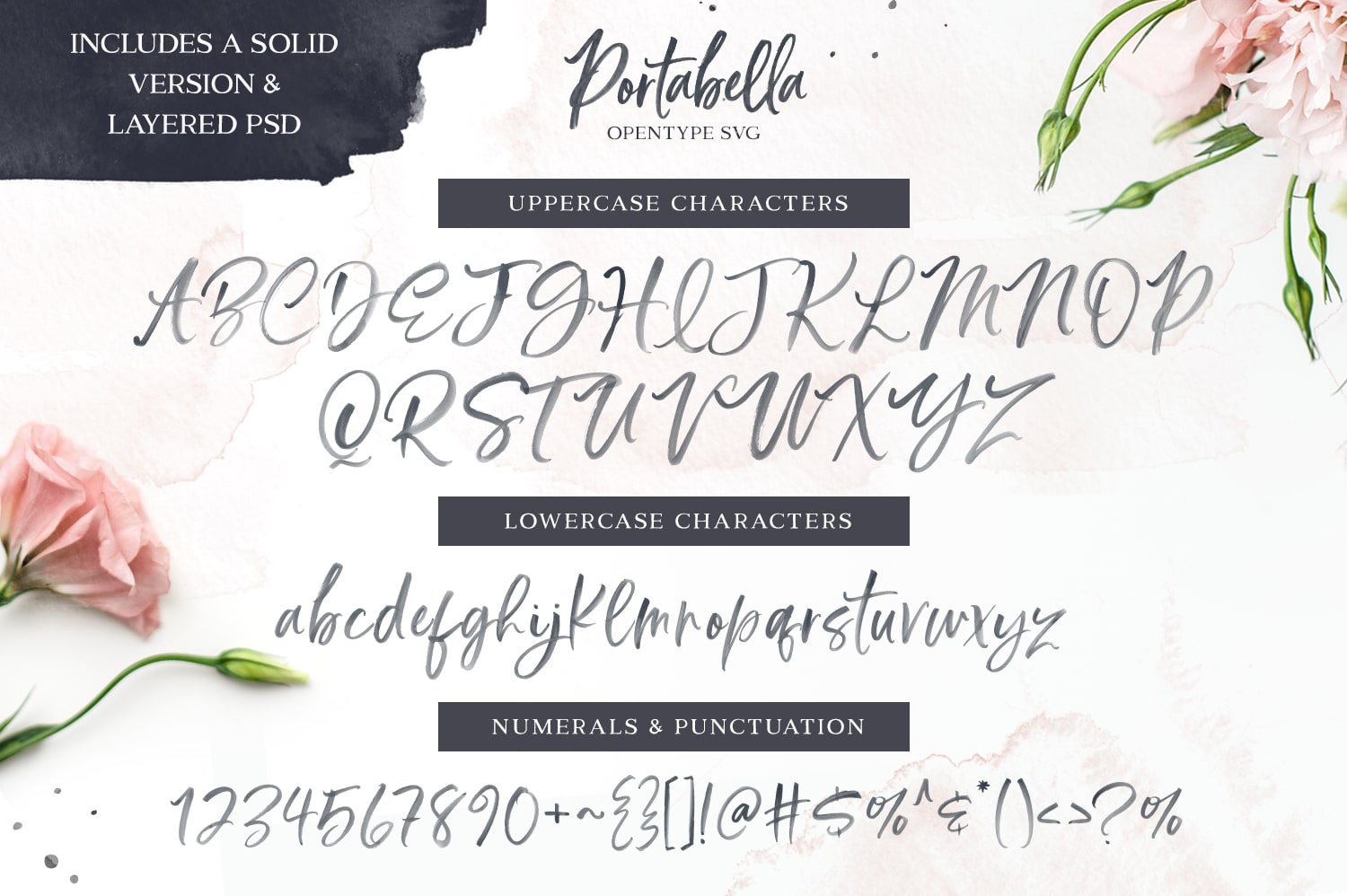 PORTABELLA FONT COLLECTION
